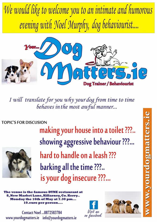 Your Dog Matters in Killarney